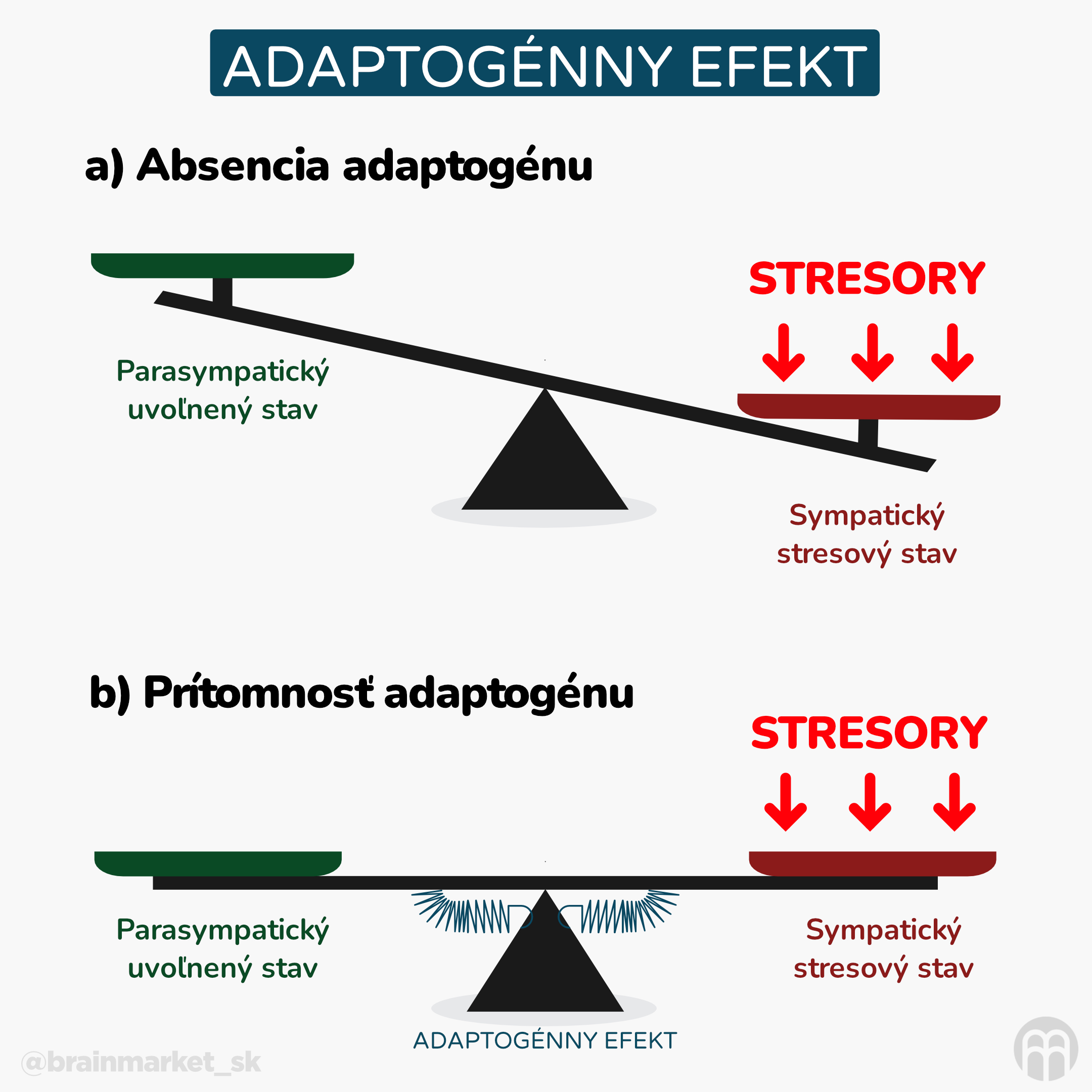 maca adaptogenni efekt grafika